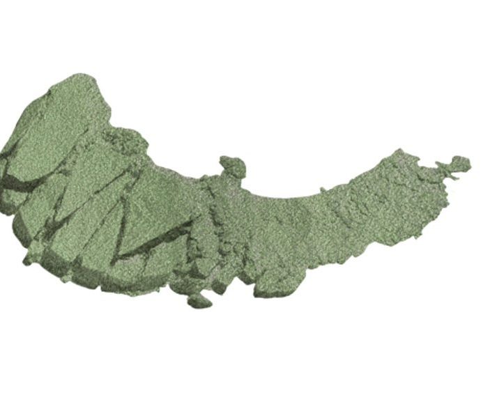 Wet n Wild Color Icon Eyeshadow Μονή Σκιά Πράσινη Single -E350A Envy